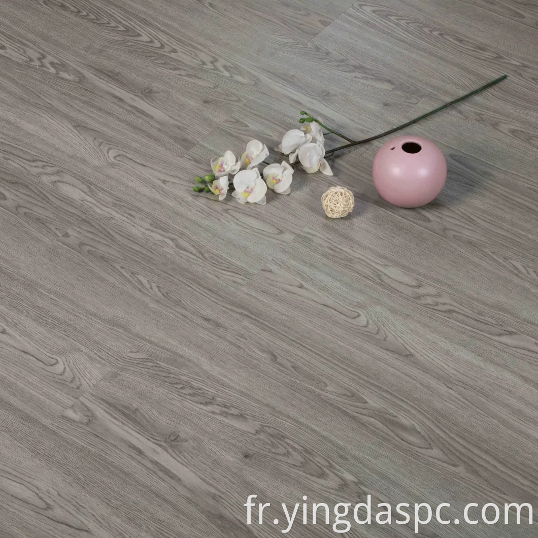 Plancher en vinyle imperméable avec couleur grise